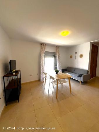 ☀🐬 APARTAMENTO ALEGRÍA 4 🐬☀ - CADIZ