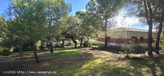 ¡SE VENDE CHALET CON AMPLIA PARCELA| - BADAJOZ