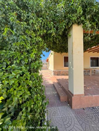 FINCA EN ALQUILER PARA TODO EL AÑO EN CREVILLENTE - ALICANTE