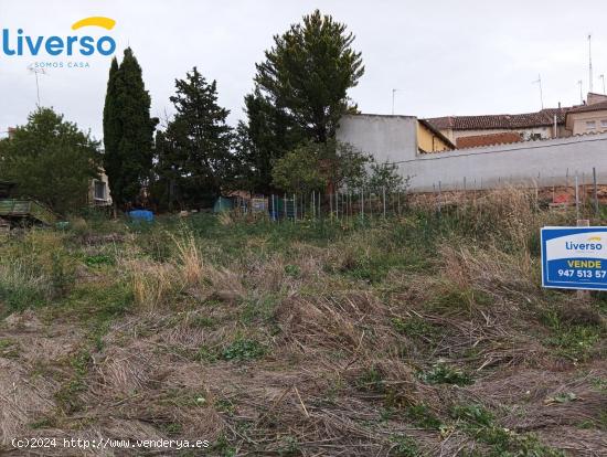 MAGNÍFICO TERRENO EN VENTA EN LA AGUILERA - BURGOS