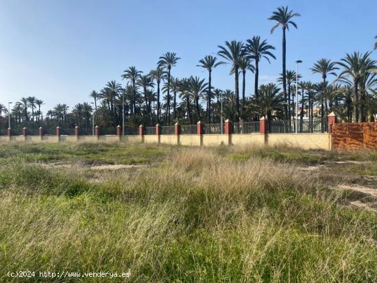  Exclusiva Parcela de 250 metros en La Torreta, Elche - ALICANTE 