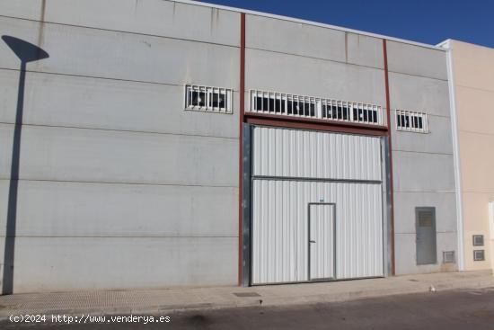 NAVE INDUSTRIAL EN NULES - CASTELLON