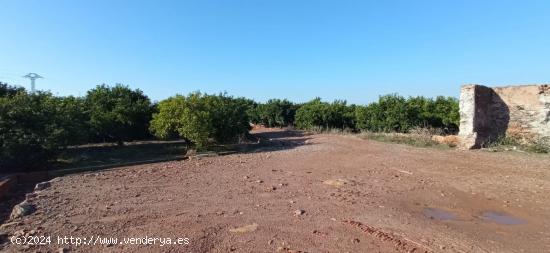 Suelo rústico en Nules - CASTELLON