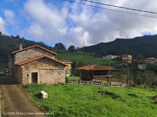  Se Vende en Candamo - ASTURIAS 