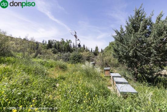 ¡Inversión Única en el Corazón de la Naturaleza! Terreno de 9500m² - GRANADA