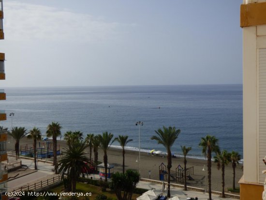  Piso en alquiler en Algarrobo (Málaga) 