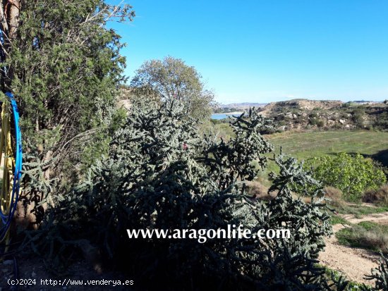 Finca en venta en Caspe (Zaragoza)