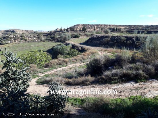 Finca en venta en Caspe (Zaragoza)