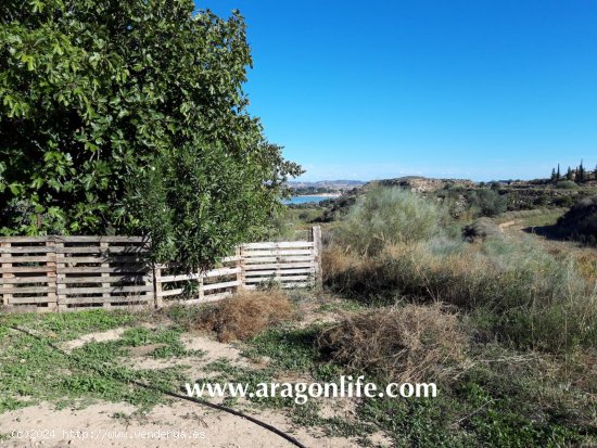 Finca en venta en Caspe (Zaragoza)