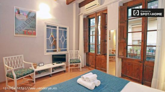 Apartamento estudio elegante con aire acondicionado y balcón en alquiler en el Born - BARCELONA