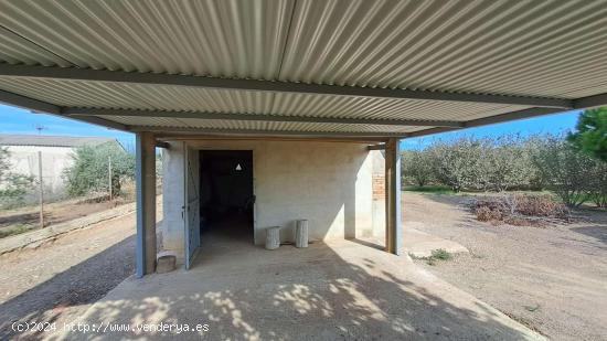 Finca Rustica en La Selva del Camp - TARRAGONA