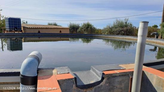 Finca Rustica en La Selva del Camp - TARRAGONA