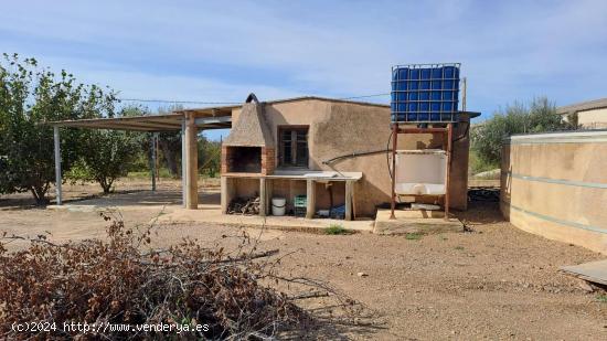 Finca Rustica en La Selva del Camp - TARRAGONA