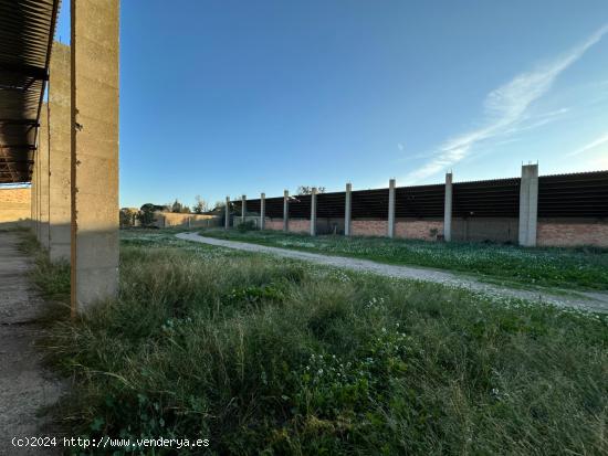 Oportunidad Industrial en Mallen : Parcela  junto a la autovía A-68. - ZARAGOZA