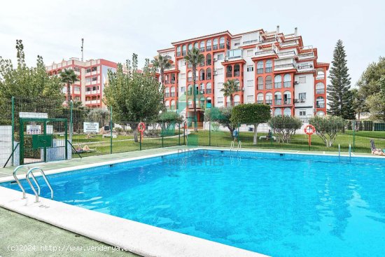  Apartamento en venta en Torrevieja (Alicante) 