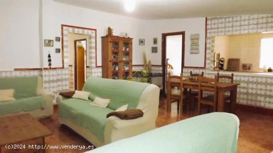 PARCELA CON CASA EN EL RINCON(Punta Umbria) - HUELVA