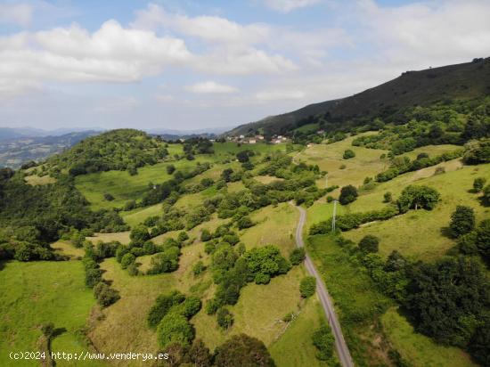 FINCA AGRARIA CERRA EN VILLAGARCIA GRADO - ASTURIAS