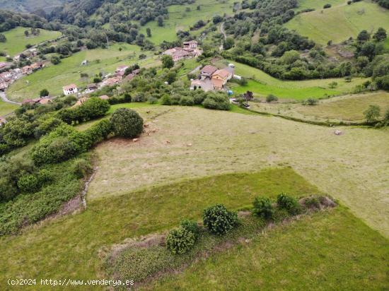  FINCAS VILLAGARCIA EN GRADO - ASTURIAS 