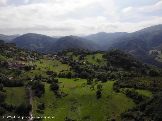 FINCAS VILLAGARCIA EN GRADO - ASTURIAS