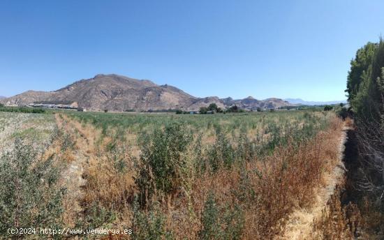 Fantástica parcela de huerta en Pinos Puente. - GRANADA