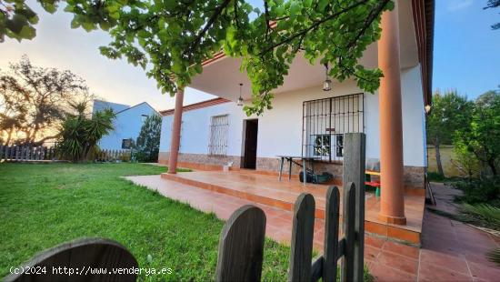  CHALET URBANIZABLE EN LOS LAGOS DEL SERRANO, GUILLENA, SEVILLA. - SEVILLA 