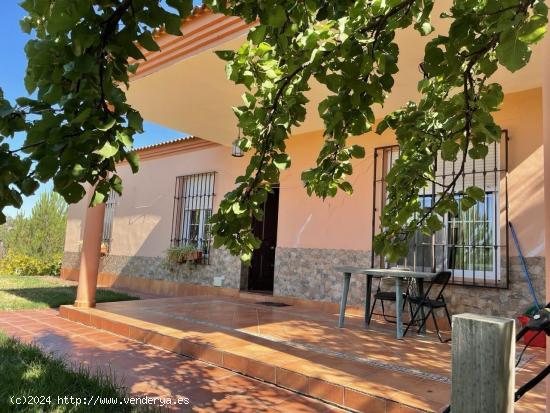 CHALET URBANIZABLE EN LOS LAGOS DEL SERRANO, GUILLENA, SEVILLA. - SEVILLA