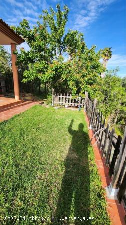 CHALET URBANIZABLE EN LOS LAGOS DEL SERRANO, GUILLENA, SEVILLA. - SEVILLA