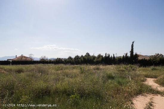 Terreno de 5.700 m2 edificable (máximo 200 m2) - MURCIA