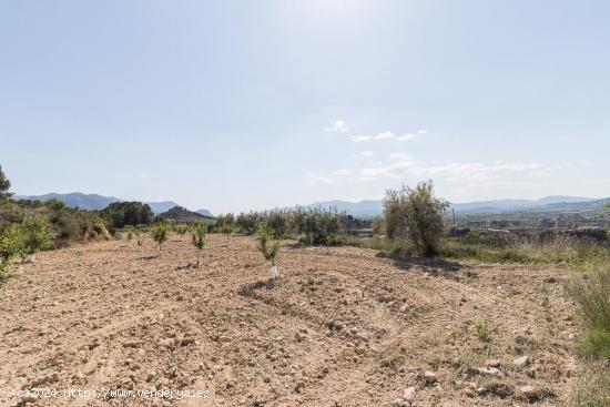  Terreno de 12.000 m2 urbanizable - MURCIA 