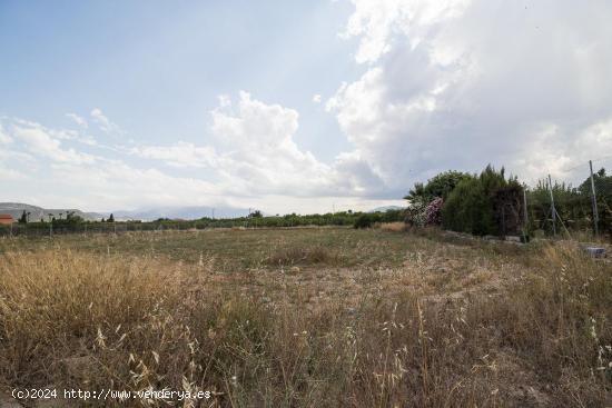  Parcela en blanco - MURCIA 