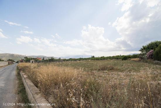 Parcela en blanco - MURCIA