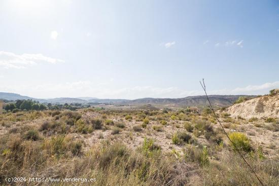  Terreno urbano de 1.800 m2 ubicado en la pedanía muleña de el Niño de Mula - MURCIA 