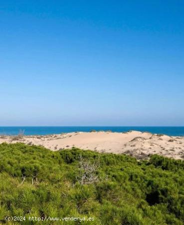 Fantástico apartamento a escasos metros de las playas de La Mata, Alicante, Costa Blanca - TOLEDO