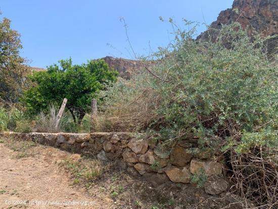 FINCA RUSTICA  LANJARON - GRANADA