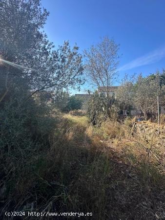 Solar urbanizable en el casco antiguo de Sa Cabaneta, Marratxí - BALEARES