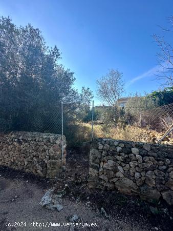 Solar urbanizable en el casco antiguo de Sa Cabaneta, Marratxí - BALEARES