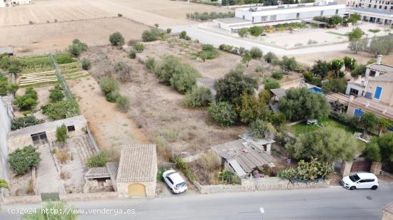  SOLAR URBANIZABLE EN SINEU - BALEARES 