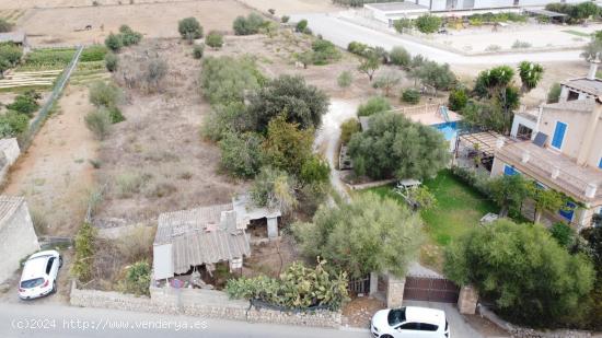 SOLAR URBANIZABLE EN SINEU - BALEARES