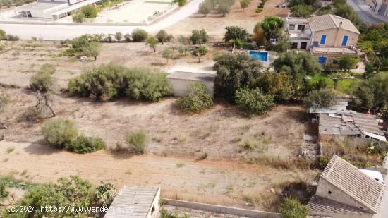 SOLAR URBANIZABLE EN SINEU - BALEARES