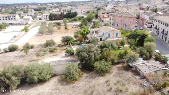 SOLAR URBANIZABLE EN SINEU - BALEARES