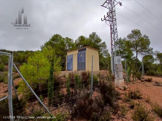 REF: C028 GRUPO INMOTEKA INMOBILIARIA VENDE TERRENO RUSTICO EN LA DEHESA DE AYNA (AYNA) - ALBACETE