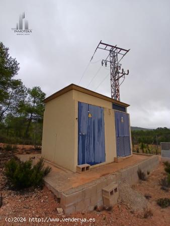 REF: C028 GRUPO INMOTEKA INMOBILIARIA VENDE TERRENO RUSTICO EN LA DEHESA DE AYNA (AYNA) - ALBACETE