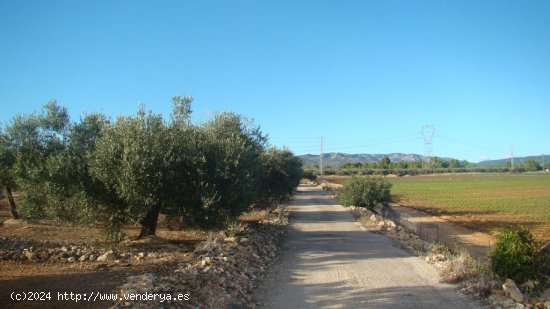 Suelo rústico en venta  en Aldea, L - Tarragona