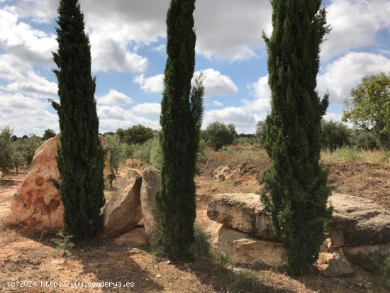 Suelo rústico en venta  en Soleràs, El - Lleida