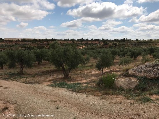 Suelo rústico en venta  en Soleràs, El - Lleida