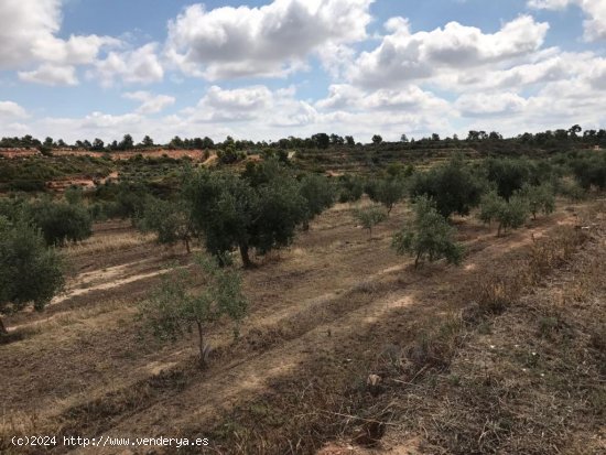 Suelo rústico en venta  en Soleràs, El - Lleida