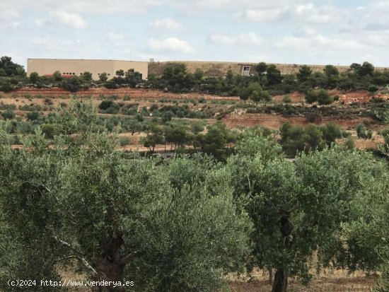 Suelo rústico en venta  en Soleràs, El - Lleida