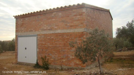 Suelo rústico en venta  en Camarles - Tarragona