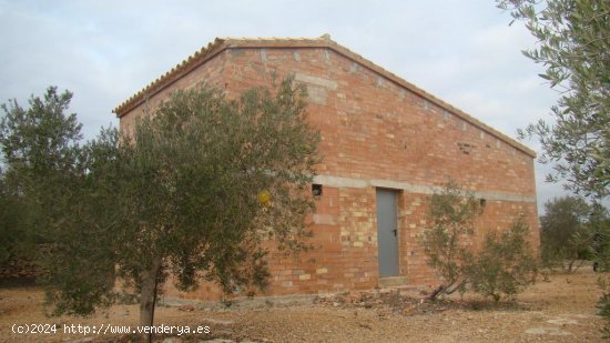 Suelo rústico en venta  en Camarles - Tarragona