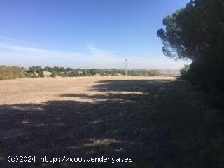 Suelo urbano en venta  en Alpicat - Lleida